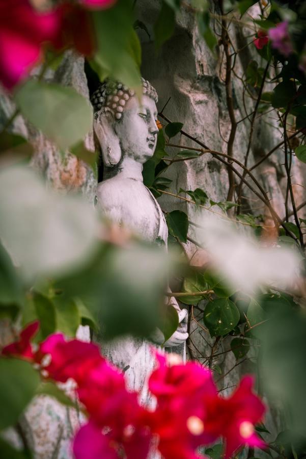 Zen Garden Tamarindo - Adults Only Hotel ภายนอก รูปภาพ
